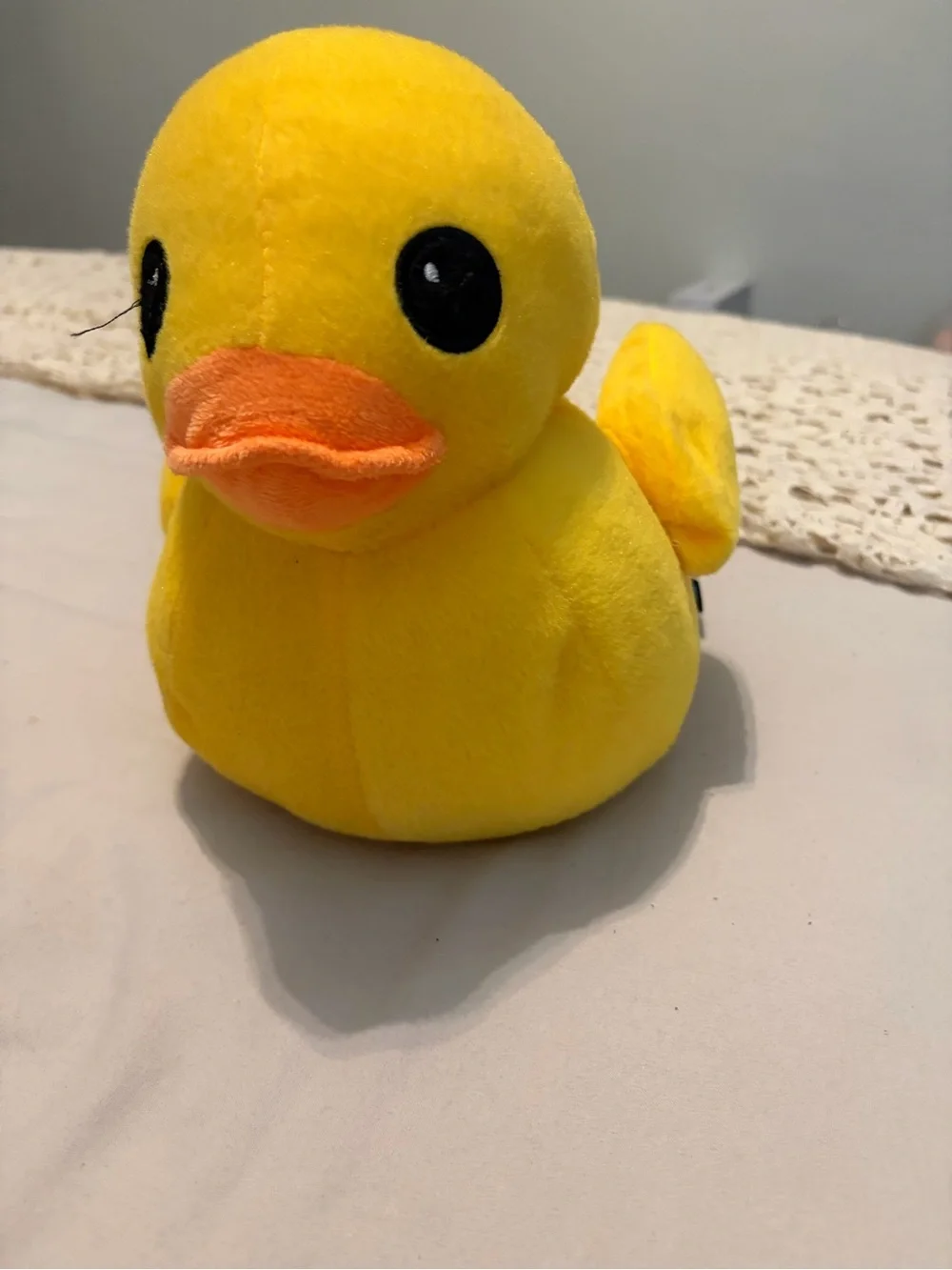 N/A ducky wonderland